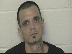 Mugshot of PELFREY, LESLEY