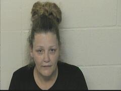 Mugshot of JOHNSON, LORA