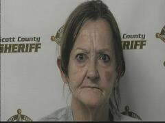 Mugshot of ROBINSON, VICKIE